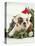 Bulldog Wearing Santa Claus Hat-Larry Williams-Premier Image Canvas