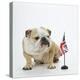 Bulldog with British Union Jack Flag-null-Premier Image Canvas