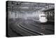 Bullet Train at Shin-Osaka Station, Osaka, Kansai, Japan, Asia-Stuart Black-Premier Image Canvas