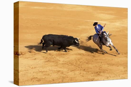 Bullfight, Jerez De La Frontera, Cadiz Province, Andalusia, Spain-Neil Farrin-Premier Image Canvas
