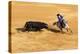 Bullfight, Jerez De La Frontera, Cadiz Province, Andalusia, Spain-Neil Farrin-Premier Image Canvas