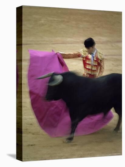 Bullfight Spain-null-Premier Image Canvas