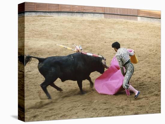 Bullfighting, Plaza de Toros, Ronda, Andalusia, Spain-null-Premier Image Canvas