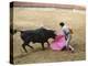 Bullfighting, Plaza de Toros, Ronda, Andalusia, Spain-null-Premier Image Canvas