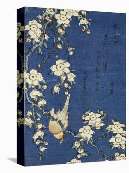 Bullfinch and Weeping Cherry (Uso, shidarezakura), from an untitled series of flowers and birds-Katsushika Hokusai-Premier Image Canvas