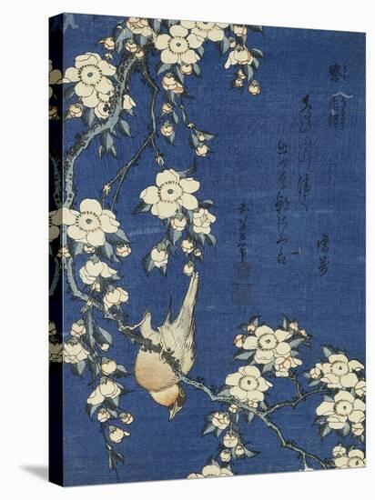 Bullfinch and Weeping Cherry (Uso, shidarezakura), from an untitled series of flowers and birds-Katsushika Hokusai-Premier Image Canvas