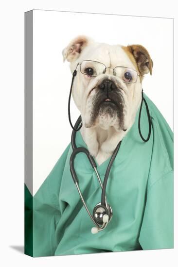 Bullin Vets Scrubs Wearing Glasses and Stethoscope-null-Premier Image Canvas