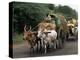 Bullock Carts are the Main Means of Transport for Local Residents, Tamil Nadu State, India-R H Productions-Premier Image Canvas