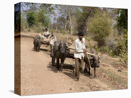 Bullock Carts, Tala, Bandhavgarh National Park, Madhya Pradesh, India-Thorsten Milse-Premier Image Canvas