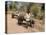 Bullock Carts, Tala, Bandhavgarh National Park, Madhya Pradesh, India-Thorsten Milse-Premier Image Canvas