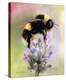 Bumble Bee on Flower-Sarah Stribbling-Stretched Canvas