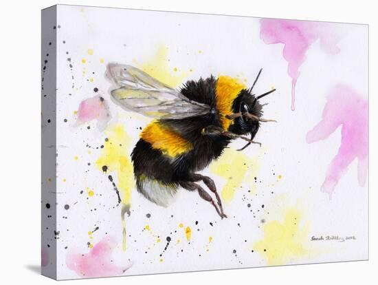 Bumble Bee Watercolor-Sarah Stribbling-Stretched Canvas