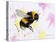 Bumble Bee Watercolor-Sarah Stribbling-Stretched Canvas