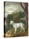 "Bumper", a Bull Terrier, 1745-Thomas Gainsborough-Premier Image Canvas