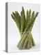 Bunch of Asparagus-null-Premier Image Canvas