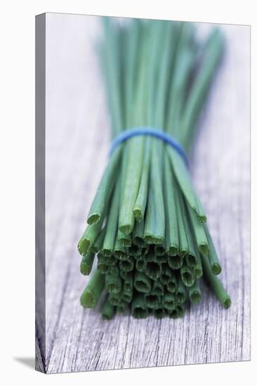 Bunch of Chives-Maxine Adcock-Premier Image Canvas