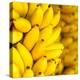 Bunch of Ripe Bananas Background-mazzzur-Premier Image Canvas