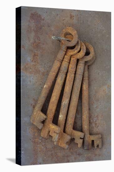 Bunch of Rusty Old Deadlock Keys Held Together by Wire Lying On Rusty Metal Sheet-Den Reader-Premier Image Canvas