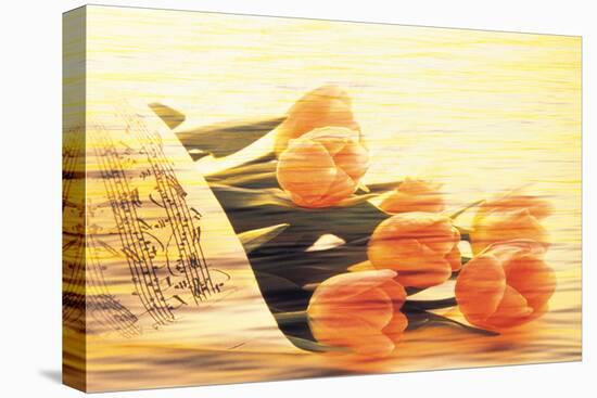 Bunch of Tulips and Sheet Music, Digitally Composite-null-Stretched Canvas