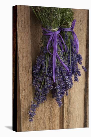 Bunches of Lavender Drying Shed at Lavender Festival, Sequim, Washington, USA-Merrill Images-Premier Image Canvas