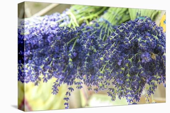 Bunches of lavender for sale, Uzes, Provence, France-Lisa S. Engelbrecht-Premier Image Canvas