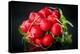 Bundle of Red Radish-Rawlik-Premier Image Canvas