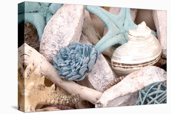 Bundle of Shells II-Susan Bryant-Premier Image Canvas