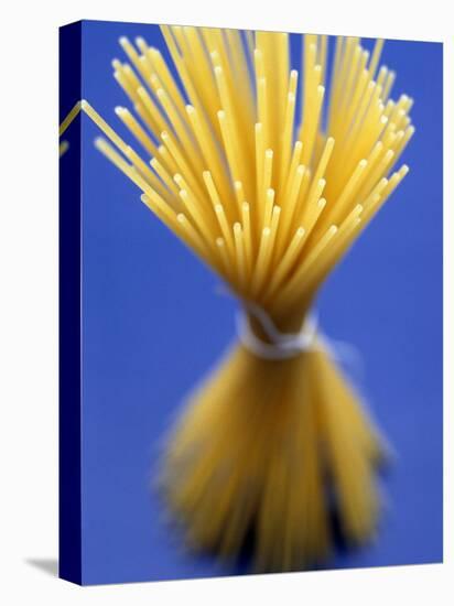 Bundle of Spaghetti-Marc O^ Finley-Premier Image Canvas