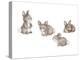 Bunnies-MAKIKO-Premier Image Canvas