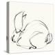 Bunny 3-Katie Todaro-Premier Image Canvas