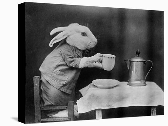 Bunny Coffee Break-null-Premier Image Canvas