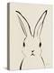 Bunny Portrait-Yvette St. Amant-Stretched Canvas