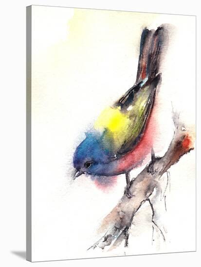 Bunting Bird-CanotStop-Stretched Canvas