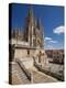 Burgos Cathedral, Burgos, Castilla Y Leon, Spain, Europe-Giles Bracher-Premier Image Canvas