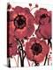 Burgundy Anemone-Natasha Wescoat-Premier Image Canvas