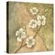 Burlap Dogwood Blossom-Tina Chaden-Stretched Canvas