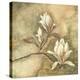 Burlap Magnolia I-Tina Chaden-Stretched Canvas