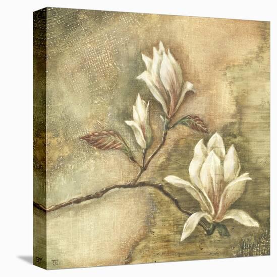 Burlap Magnolia I-Tina Chaden-Stretched Canvas