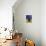 Burmese Cat, Series I-Isy Ochoa-Premier Image Canvas displayed on a wall