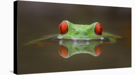 Burning Eyes-Kutub Uddin-Stretched Canvas