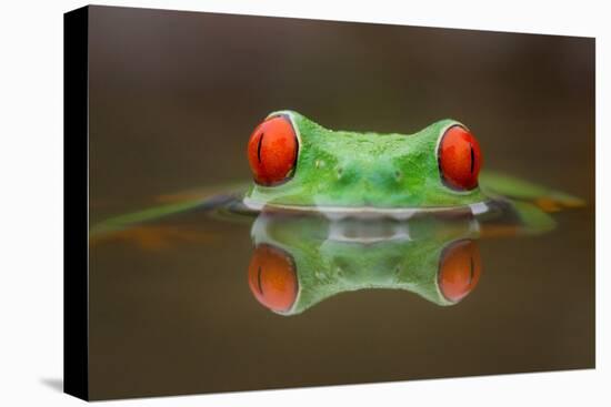 Burning Eyes-Kutub Uddin-Premier Image Canvas