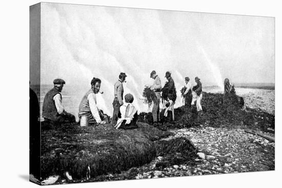 Burning Seaweed for Kelp, Aran Islands, Ireland, 1922-AW Cutler-Premier Image Canvas