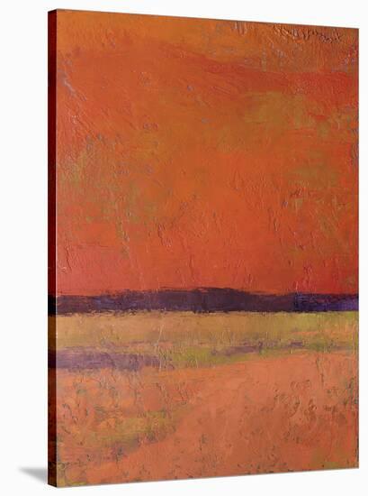 Burning Sky II-Jeannie Sellmer-Stretched Canvas