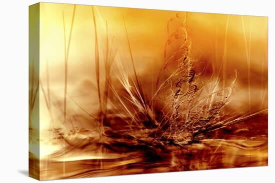 Burning Water-Willy Marthinussen-Stretched Canvas