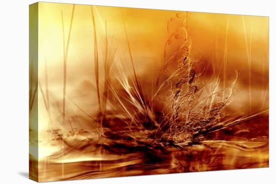 Burning Water-Willy Marthinussen-Stretched Canvas