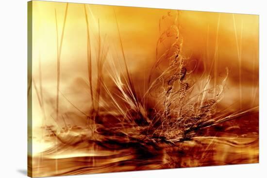 Burning Water-Willy Marthinussen-Stretched Canvas