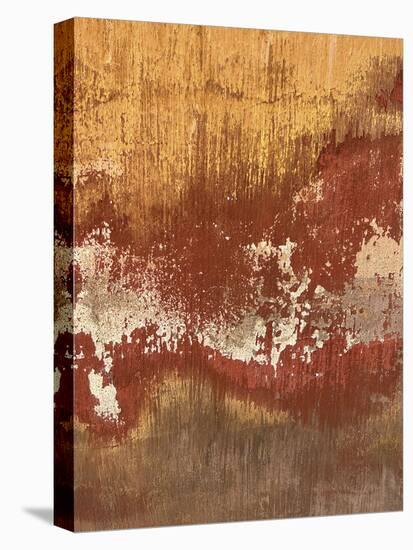 Burnished Expression - Drift-Bill Philip-Stretched Canvas
