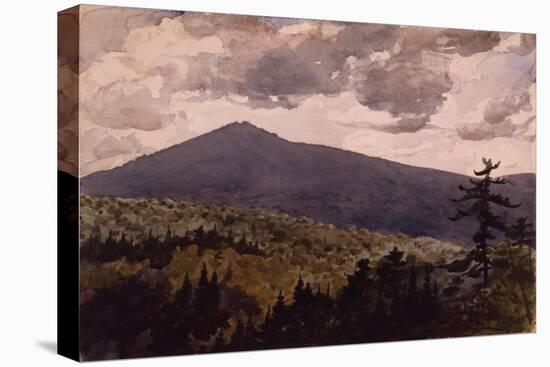 Burnt Mountain, 1902 (W/C & Graphite on Wove Paper)-Winslow Homer-Premier Image Canvas