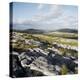 Burren, County Clare, Munster, Republic of Ireland, Europe-Andrew Mcconnell-Premier Image Canvas