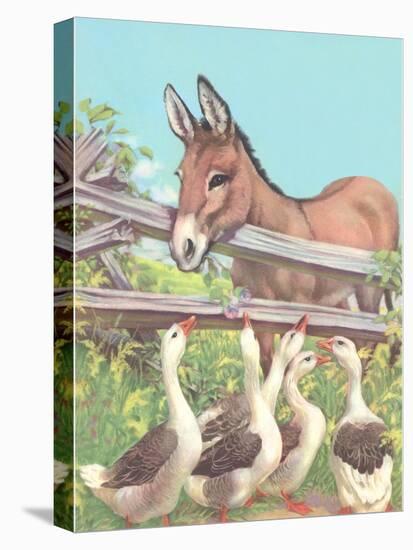 Burro Talking to Geese-null-Stretched Canvas